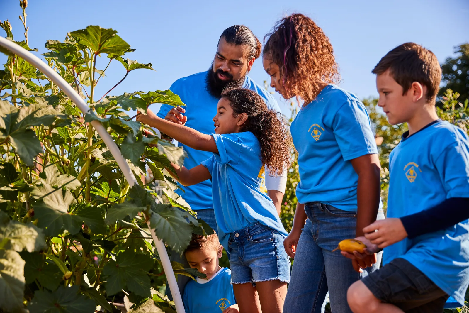 Cub Scouts and their parents examining a plant on a nature walk